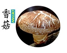 shiitake mushroom - product's photo