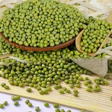 green mung bean - product's photo