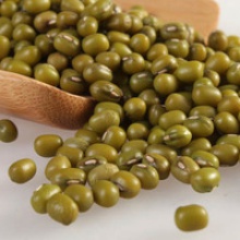 new crop organic green mung - product's photo