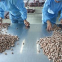  fresh plum - product's photo