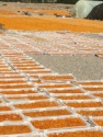 dry apricot good quality fruit - product's photo