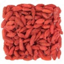 lycium barbarum , goji berries,wolfberry fruit - product's photo