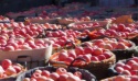 appal - product's photo
