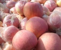 fresh apple of fruit - product's photo