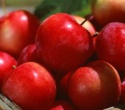 hot sell fresh apple - product's photo