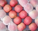 high quality &competitive price fresh apple red fuji - product's photo
