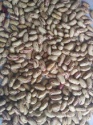 light speckled kidney bean - product's photo