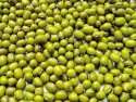 green mung bean - product's photo