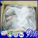 frozen tilapia fish - product's photo