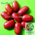 dark red kidney beans - product's photo