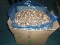 shiitake  - product's photo