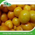 chinese fresh honey baby mandarin orange fruit - product's photo