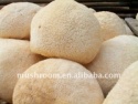 hericium erinaceus extract - product's photo