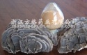 cvp extract - product's photo