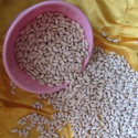 white bean and white dry kidney beans - product's photo