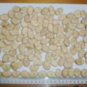 dry broad bean fava bean fresh broad bean - product's photo