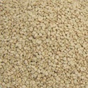 dry broad bean fava bean rohan bean - product's photo