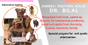 love spells +27648060105 traditional lover spell caster in mauritius,  - product's photo