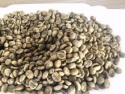 green aa above screen 18 arabica green coffee bean - product's photo