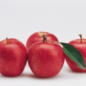 red fuji apple - product's photo