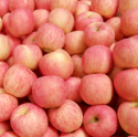  red fuji apple fruit - product's photo