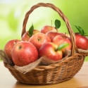 red fuji apple - product's photo