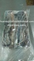 frozen giant squid tentacles processed/cleaned-without eyes, suckers,  - product's photo