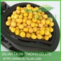 soybean - product's photo