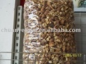 agaricus blazei - product's photo