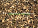 morel - product's photo