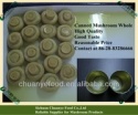 mushroom - product's photo