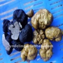 black truffle - product's photo