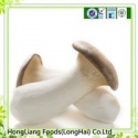 oyster mushroom - product's photo