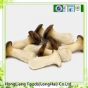 oyster mushroom - product's photo