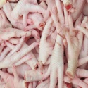 high quality halal frozen chicken paws - product's photo