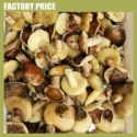 suillus mashroom - product's photo