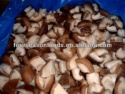 shiitake mushroom - product's photo
