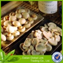 mushrooms - product's photo