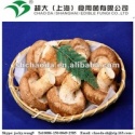 fresh shiitake mushroom - product's photo