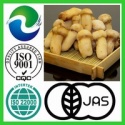 tricholoma matsutake - product's photo