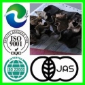 black fungus  - product's photo