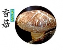 shiitake mushroom - product's photo