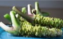 wasabi - product's photo
