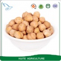 9mm kabuli chickpeas - product's photo