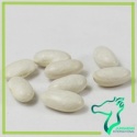 white kidney beans, white beans 2015 - product's photo