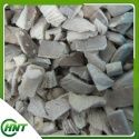 oyster mushroom - product's photo