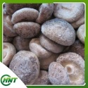 shiitake mushroom - product's photo