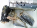 canned mackerel in brine - product's photo