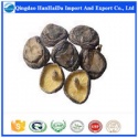 fungus - product's photo