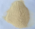 dried vital wheat gluten in gulten - product's photo